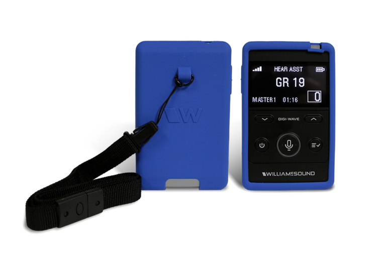Digi-Wave AIM (Advanced Interpretation Module) System - Williams AV