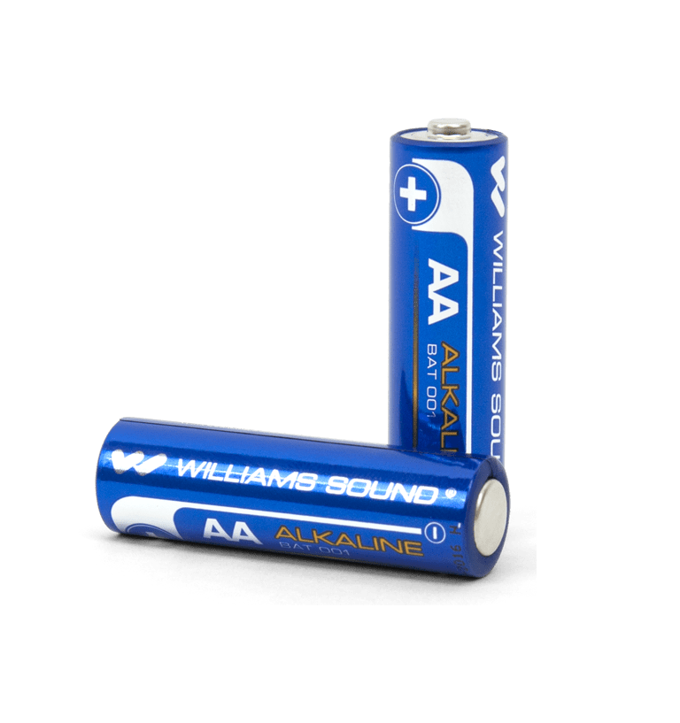 BAT 001 Two AA alkaline batteries
